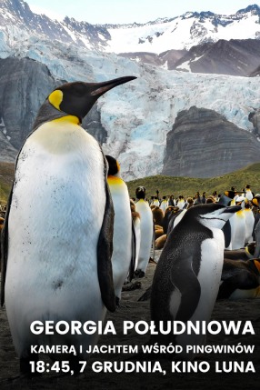 Georgia Południowa kamerą i jachtem wśród pingwinów